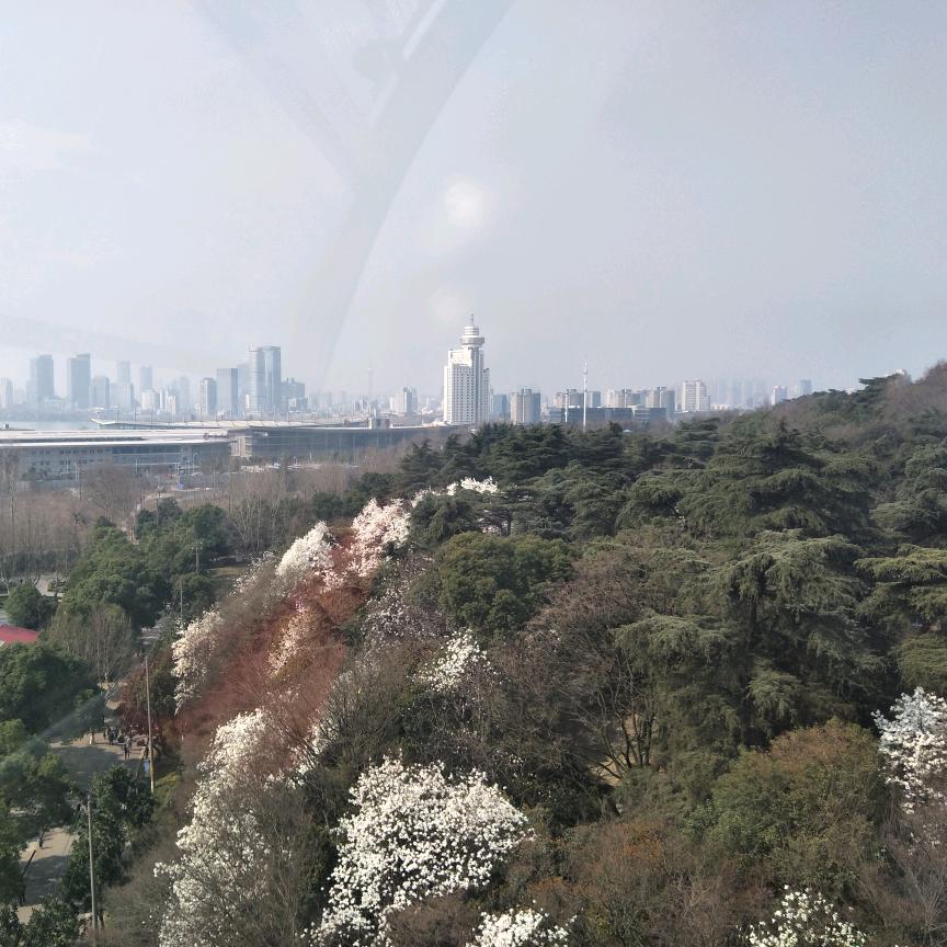 来的都是客