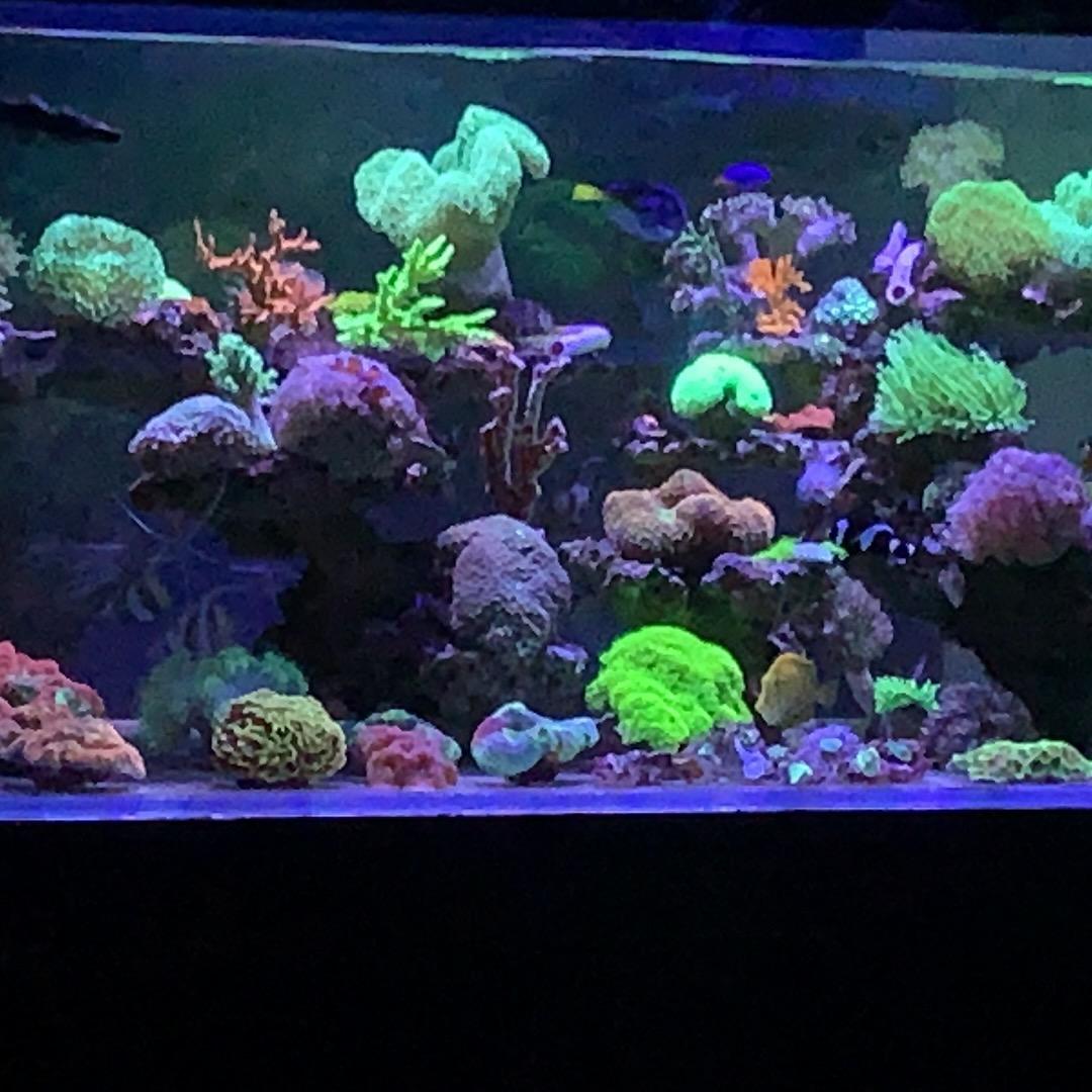 🌈世界海洋繁育基地