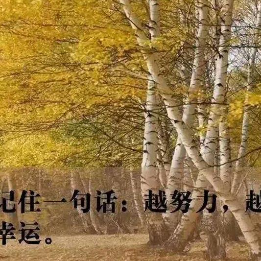 岁月留痕