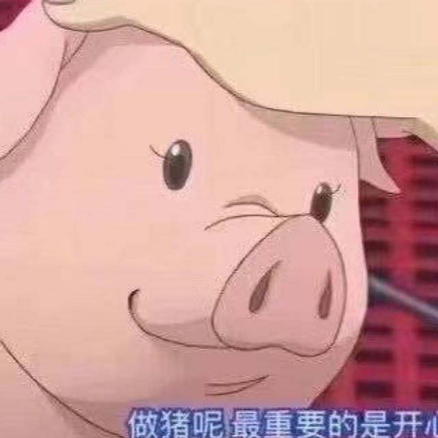 道哥越南海外仓