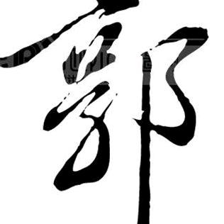 鲨哥