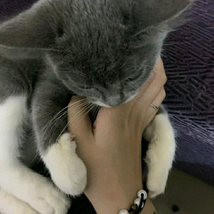 想见¹面ⁿ