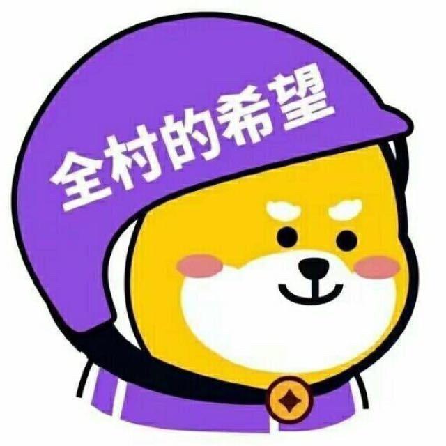 🐻熊富贵