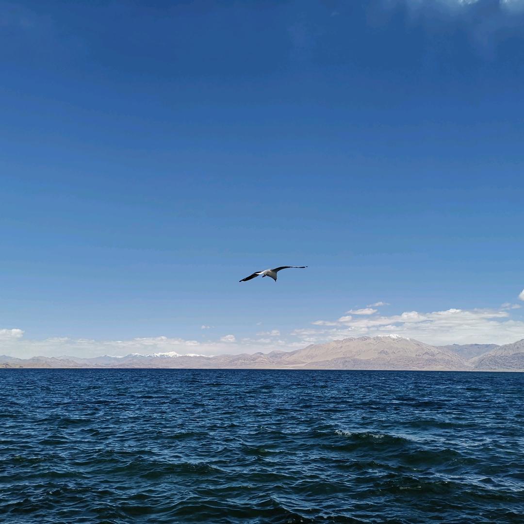 海阔天空