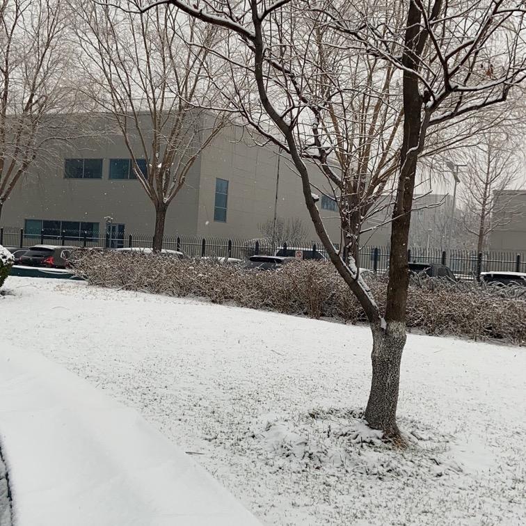 雪糕