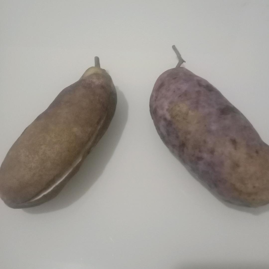 安龙县星火种植基地