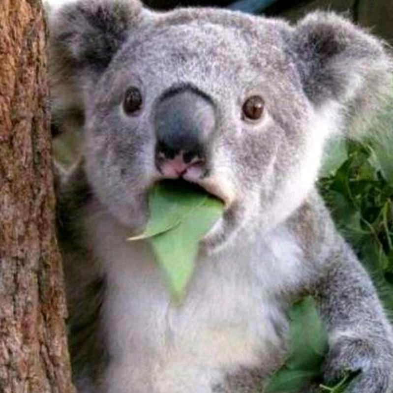 窗帘晾衣架安装