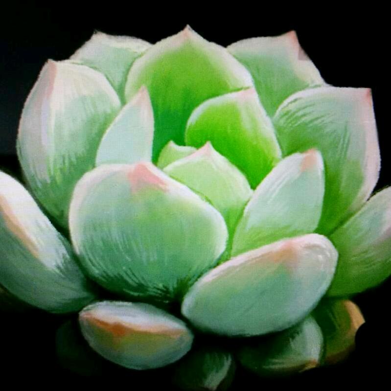 天天开心🌹️🌹️🌹️