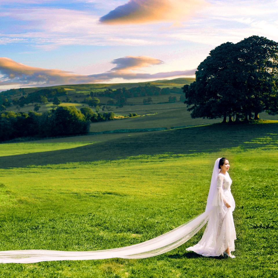 经纪活动执行王