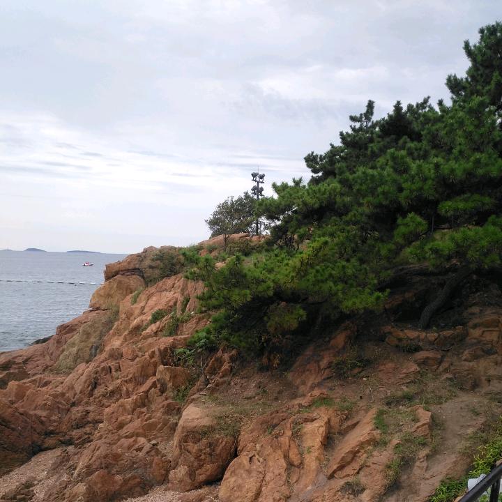 木子