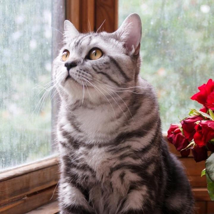 🐻熊不起了🍌