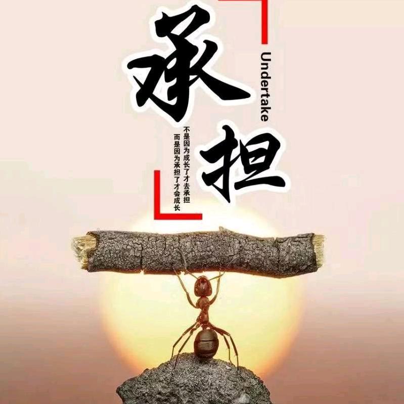 淡忘过去