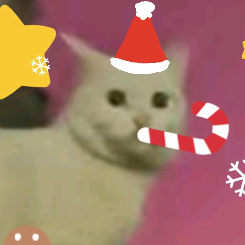 柏杨