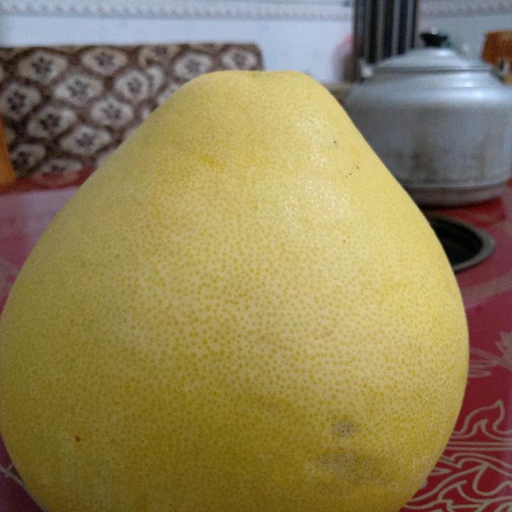 黄月生