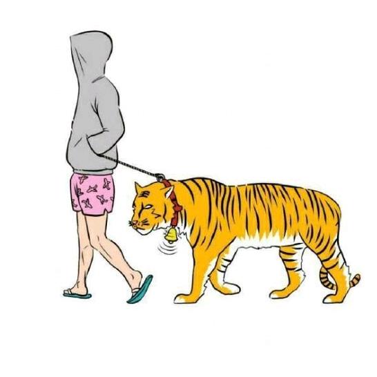 赵小多z