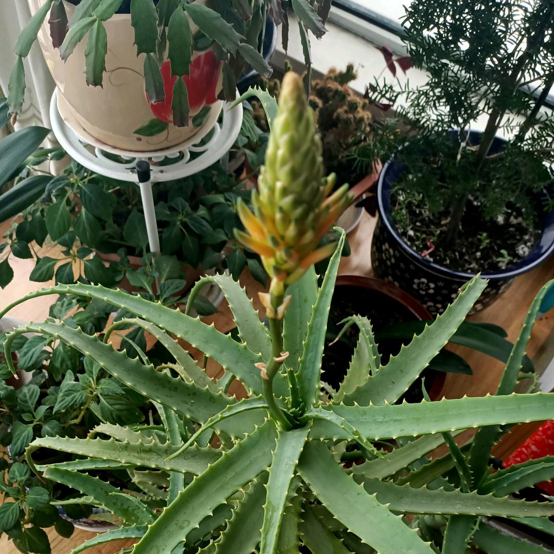 广州正宗东北麻辣烫