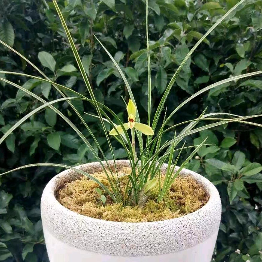 〖骆〗一生平安