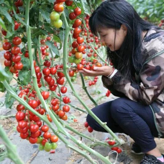 Ai 奋斗微笑君❤️
