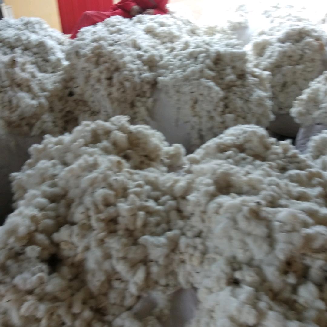 用户7238514315108随缘
