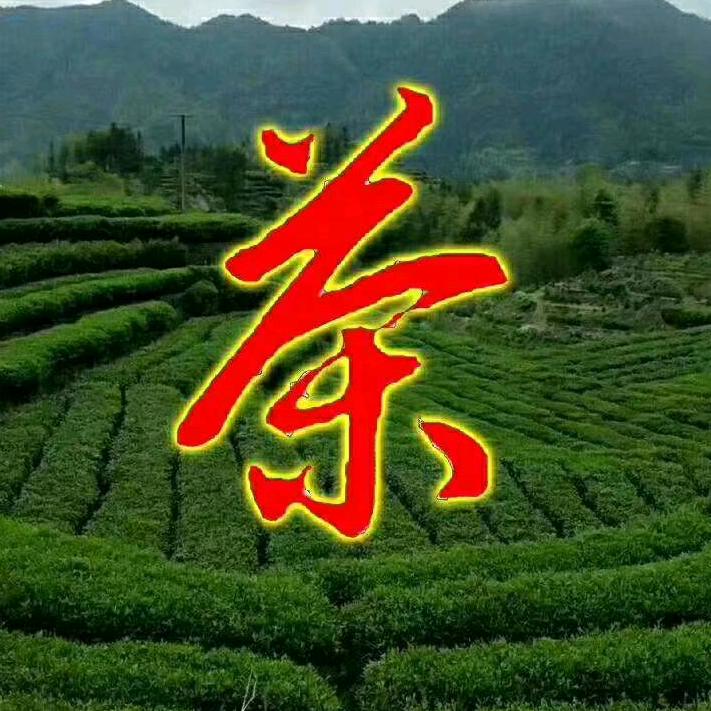 茶