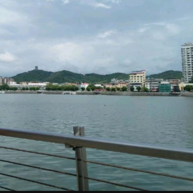 寒梅