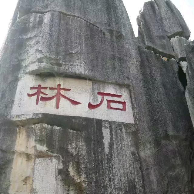 羽中飞