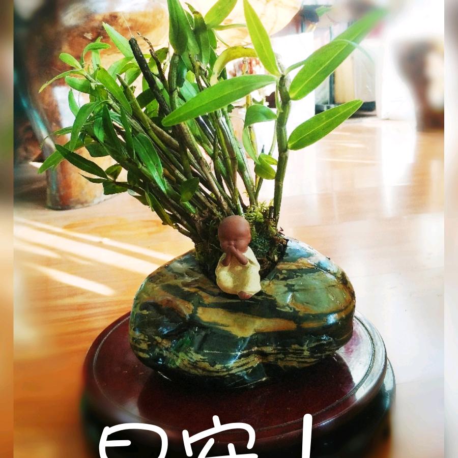 康明
