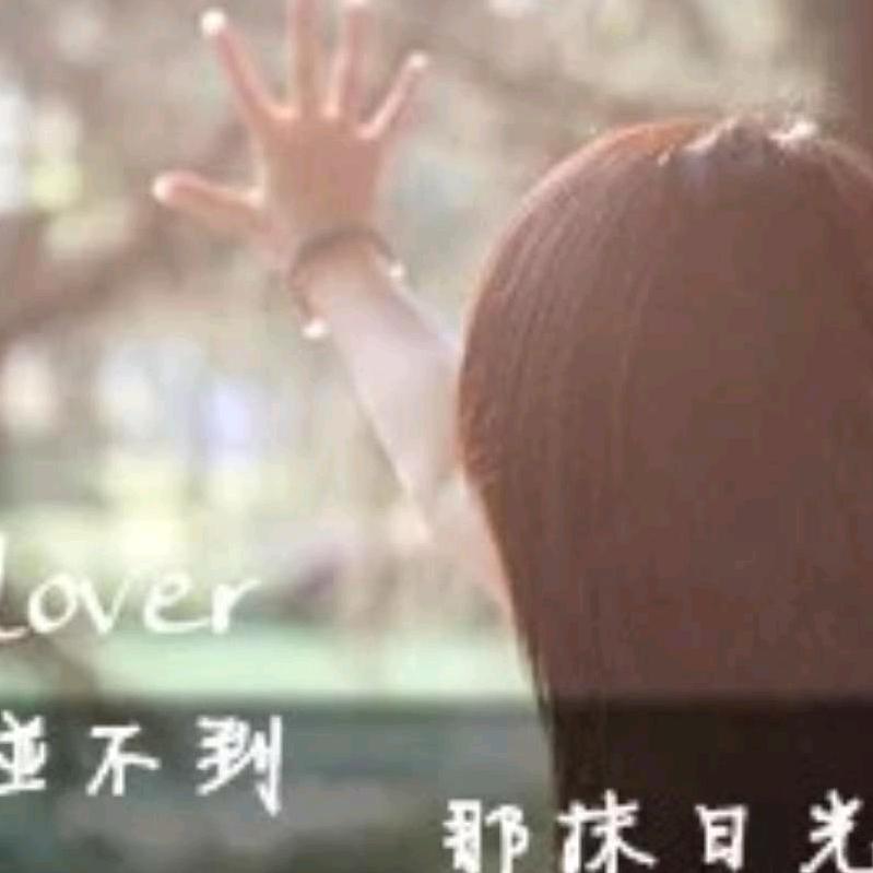 浅夏忆昔
