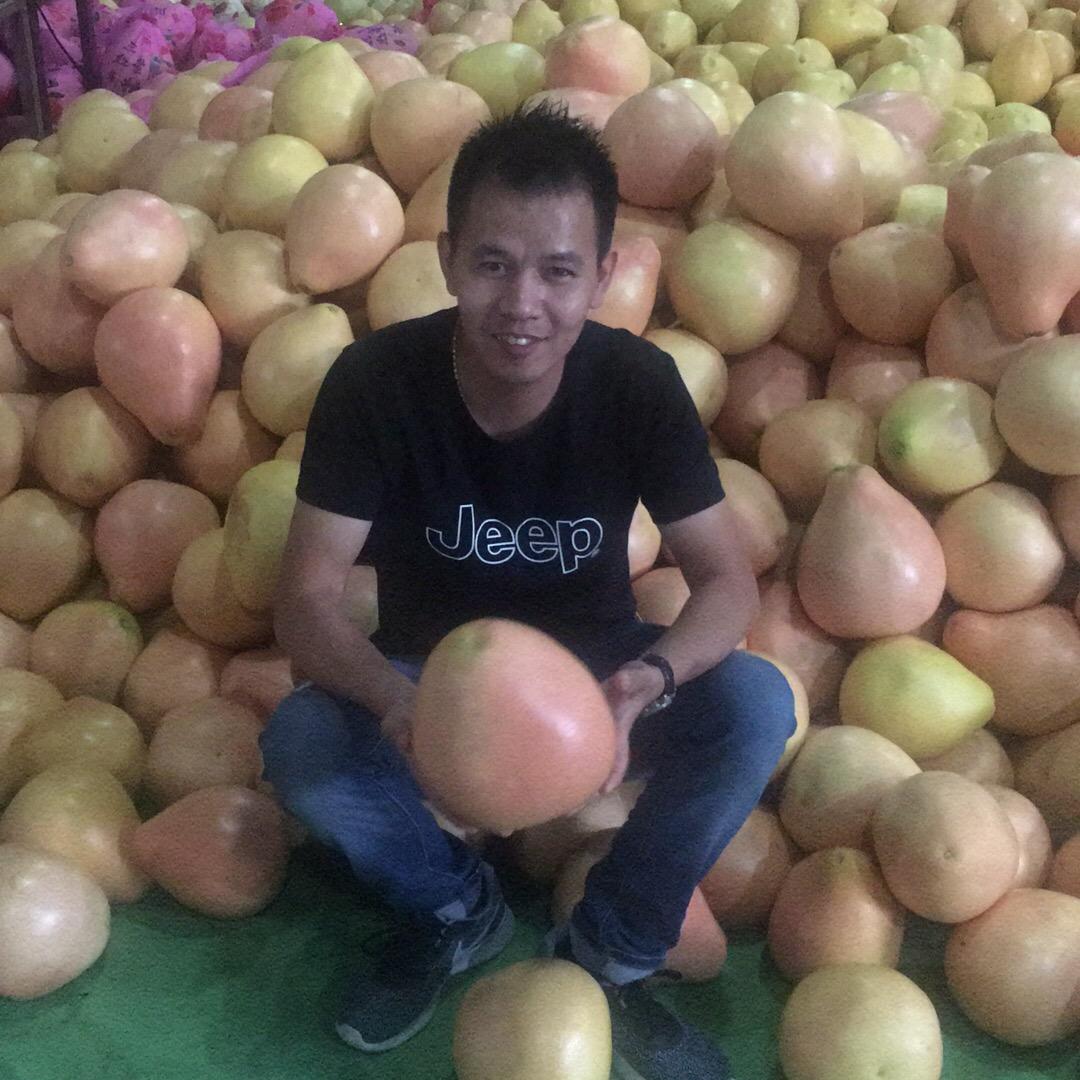 平和县（厦门小吃）坂仔镇心田村商市98号