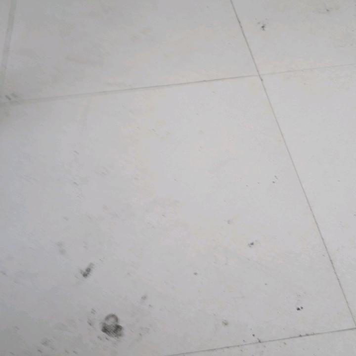 谭金双