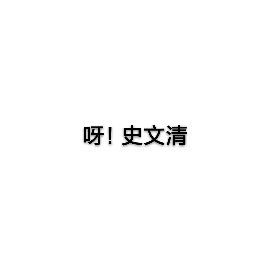 呀！史文清