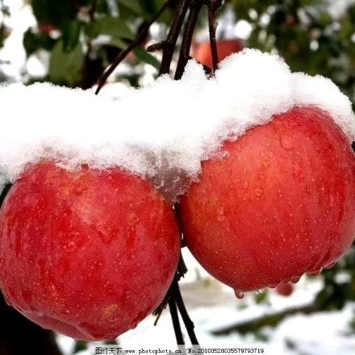 幸福的三好和开心