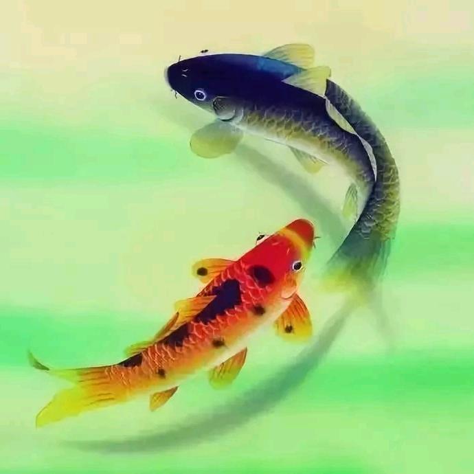 二大大