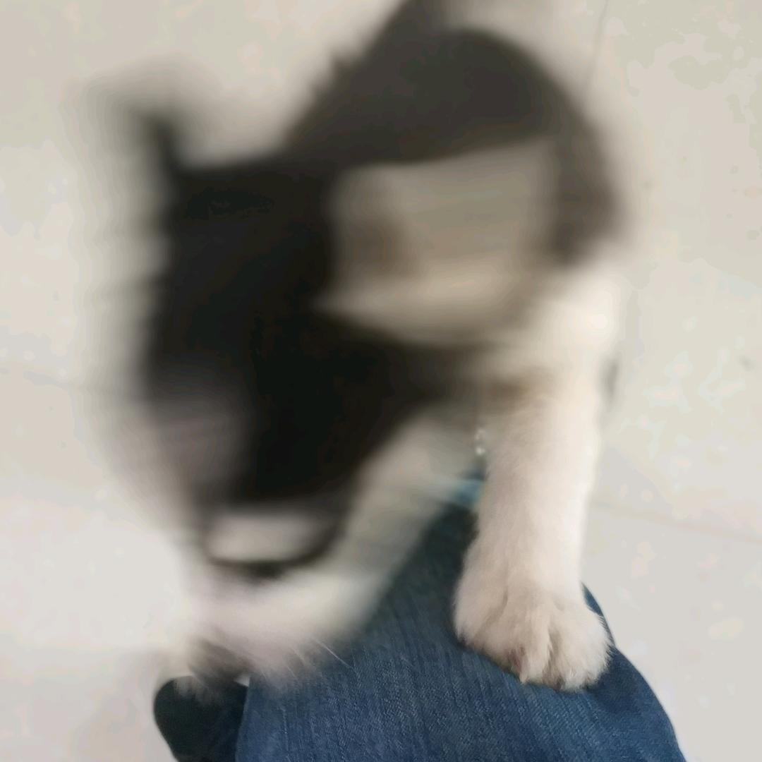 打鼓看不中敲锣的