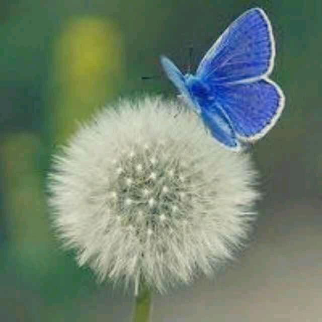 南白塔众志成城流动餐厅