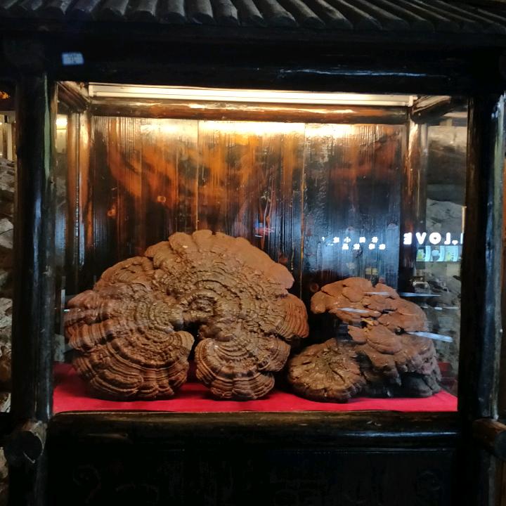 刘翠丽