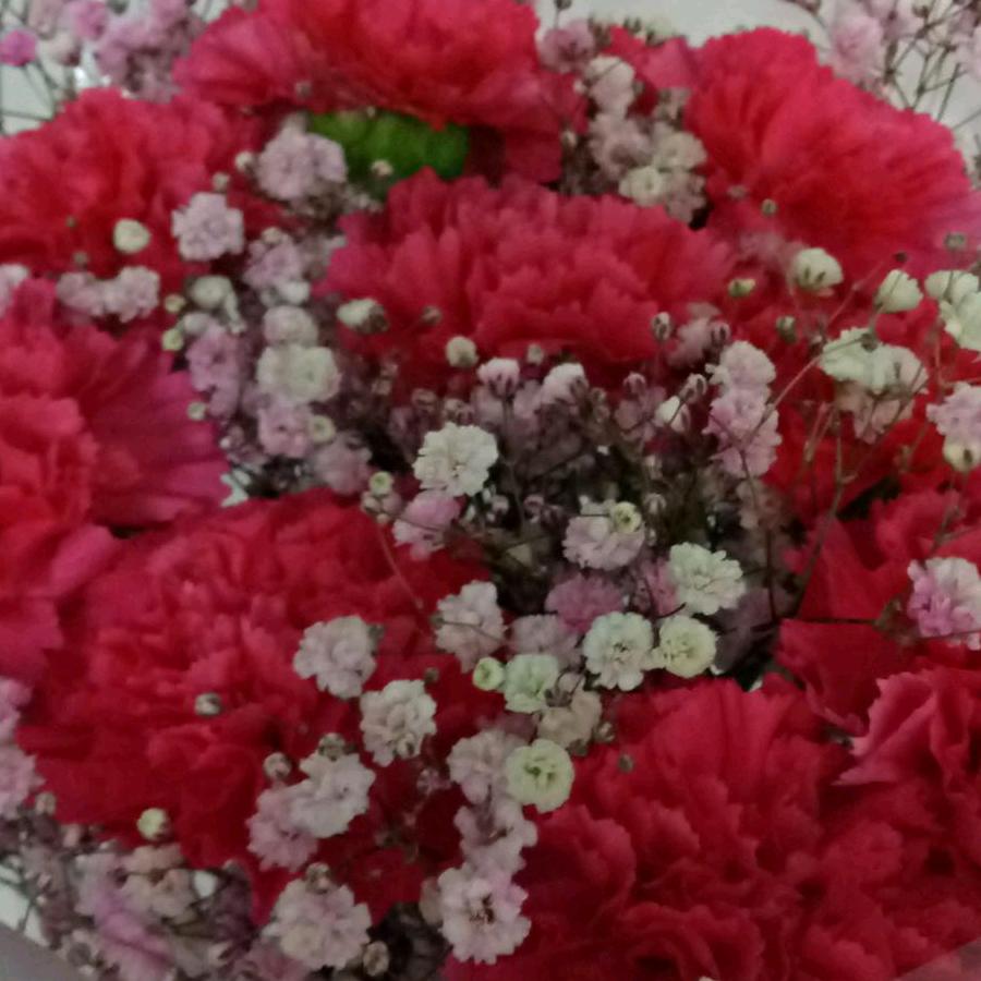 开心度过每一天