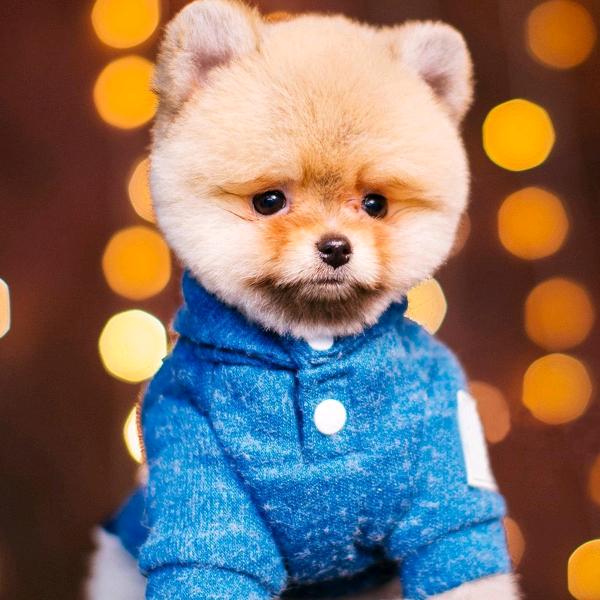 来咯来咯，二妹来咯😁😁