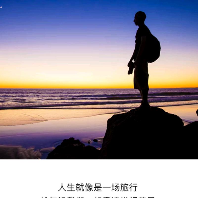谋财先生