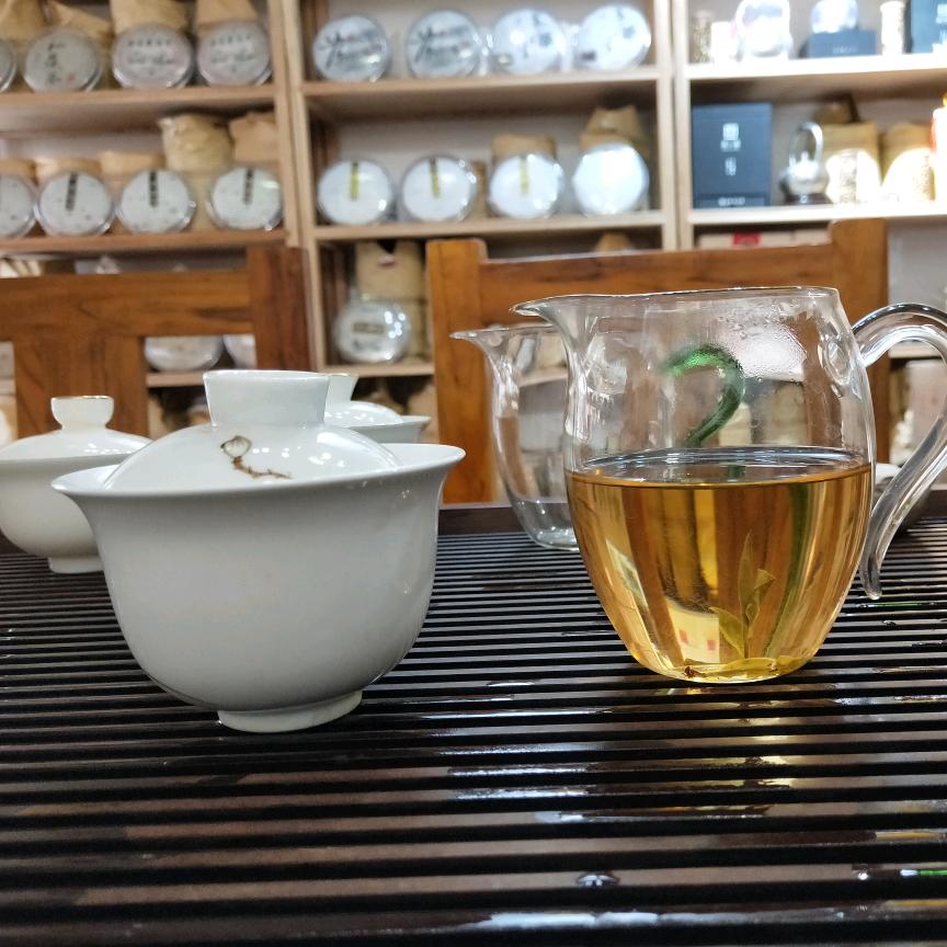 高山白茶