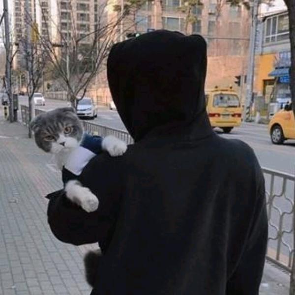 不带情绪过夜