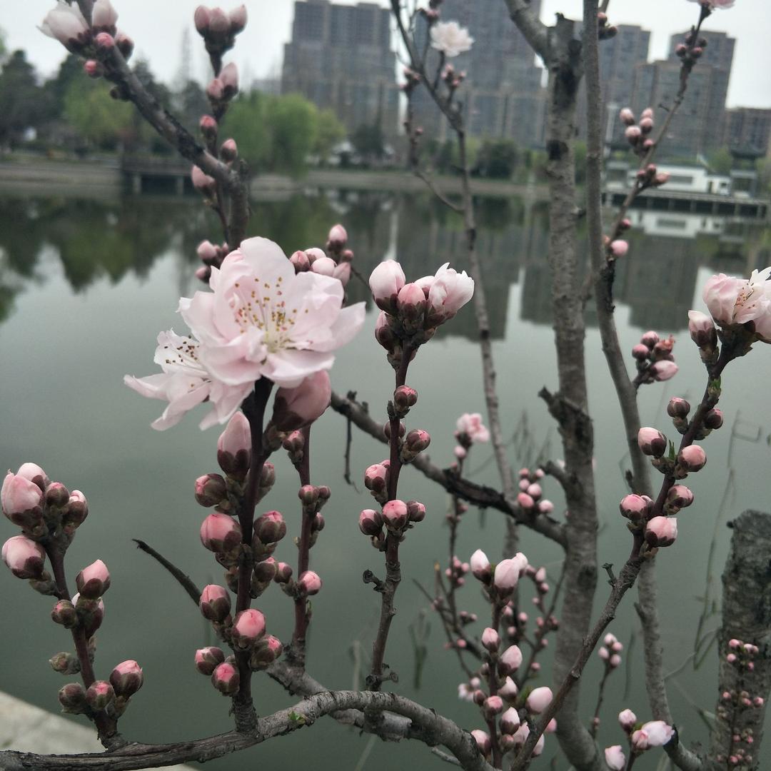 美呦
