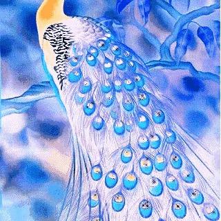 开开心心每一天