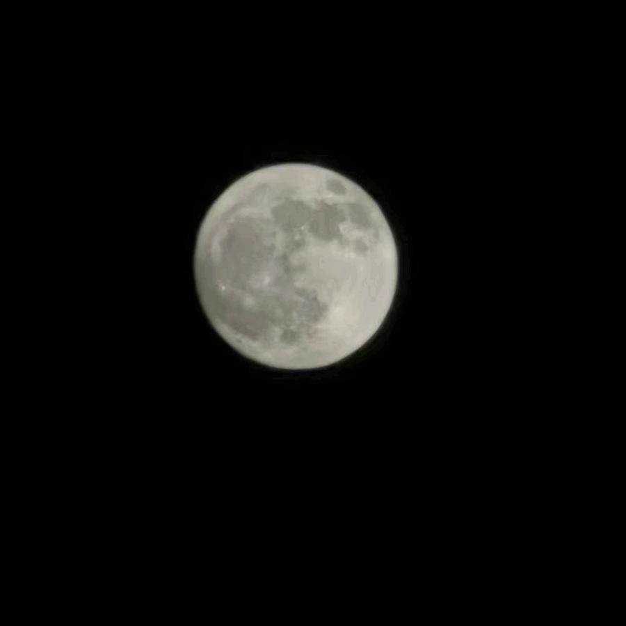 人生如梦又如戏