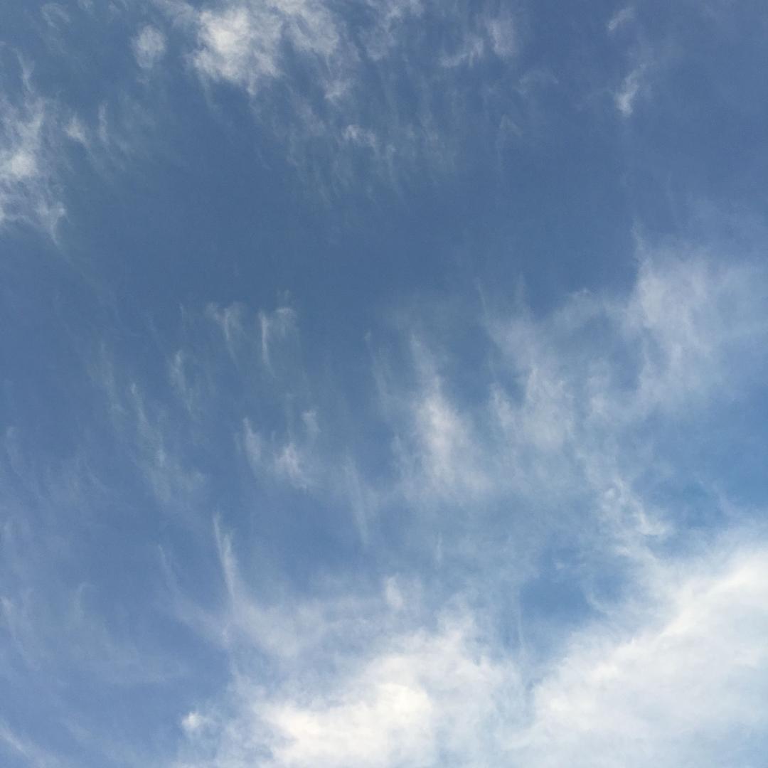 人生是一场热血的流浪