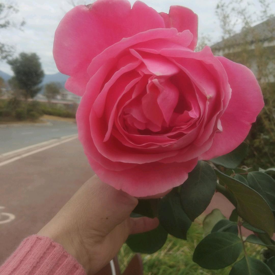 範   家  三千金