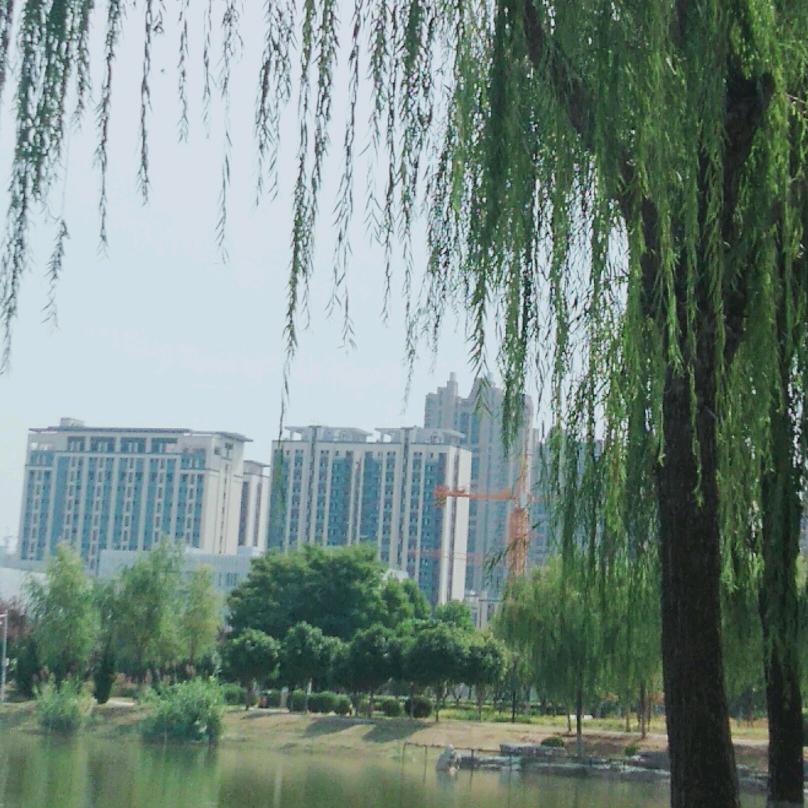 岁月无声