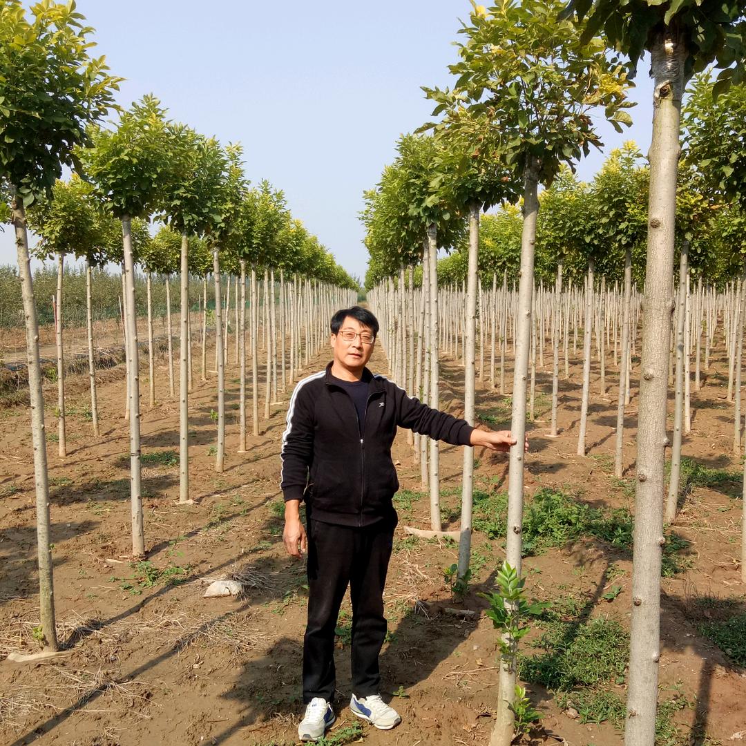 水中石~望都县溪野家庭农场