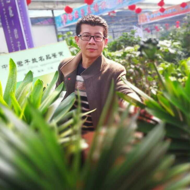 长春庆一君子兰企业店