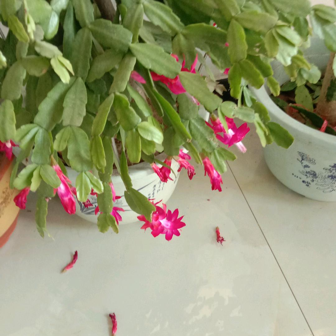 缘份让我爱上你